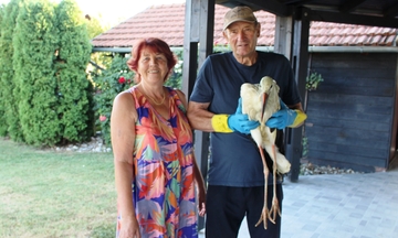 Njima se rode uvijek vraćaju: Penzioneri Zdravka i Mirko na svom imanju kod Gradiške napravili raj za ptice