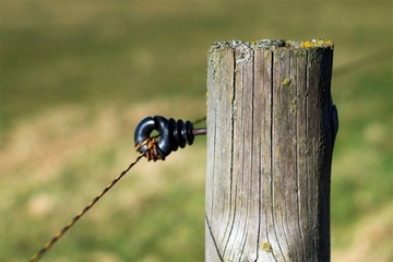 Svađa zbog bandere na groblju: Izboden pred kućom predsjednika MZ