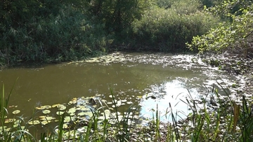 Zaštićeno područje "Gromiželj" povjereno na upravljanje gradu Bijeljina