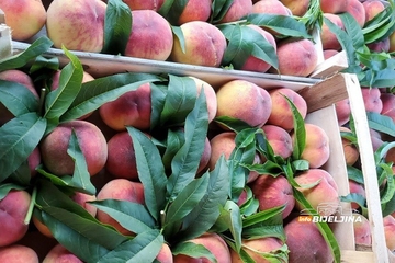 Manji rod breskvi u Semberiji, duplo veća cijena: Da li će i ovo voće biti luksuz? /FOTO/