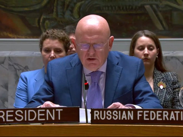 Nebenzja: Šmit uzročnik bezakonja u BiH