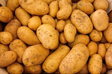  Kako da napravite mlijeko od krompira zdravije od mnogih
