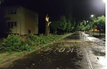 Snažno nevrijeme zahvatilo Hrvatsku, rušena stabla