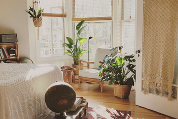 Sveto drveće i zaboravljena vjerovanja: Zašto orah donosi nesreću, a dren zdravlje?