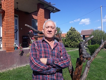 Milan Mikić iz Velike Obarske: Japanske prepelice su sastavni dio mog života (FOTO)