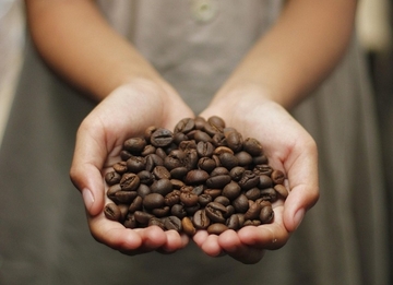 Ko zarađuje na vašoj kafi? Zrno prođe kroz 11 ruku prije nego što vi platite račun