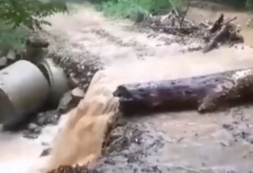 Stradali usjevi, ali i putevi u Srbiji: Žestoko nevrijeme protutnjalo Šumadijom