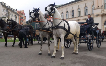 Tradicionalna "Kupusijada" i "Fijakerijada" na Mitrovdanskom vašaru u Bijeljini