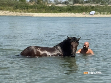 Spas od vrućine: Bijeljinac u Drini rashladio i sebe i konja (FOTO, VIDEO)