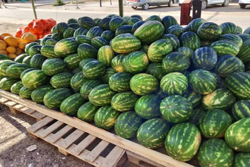 Oglas zapalio mreže: Prodaja lubenica i stan u Beogradu