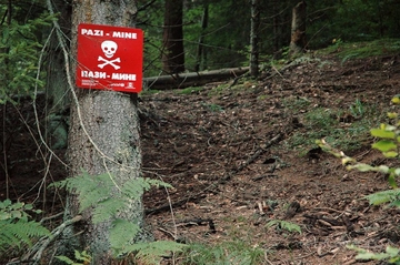 BiH u posebnom problemu: Mina ima i previše, a one su dugoročan problem za mnoge zemlje