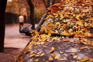 Da li lišće na vozilu može da ošteti lak i boju?