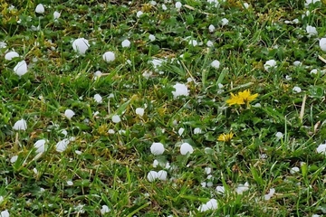 Narandžasti meteoalarm za dio Srpske, u Banjaluci padao led