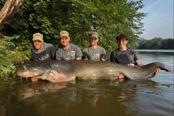 Upecao soma dugog 272 centimetra