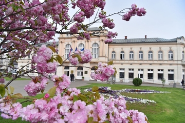 Takmičenje u Bijeljini: Prijavite se i osvojite nagradu za najljepše dvorište