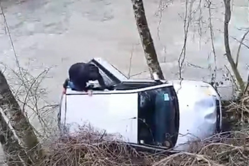 Spasio muškarca koji je sletio u rijeku: "Od danas je Ivica moj brat" (VIDEO)