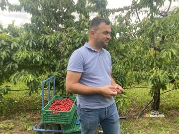 Lani izgubio 90 odsto roda, a danas bere pune gajbe: Voćar iz Semberije konačno dočekao svoju godinu