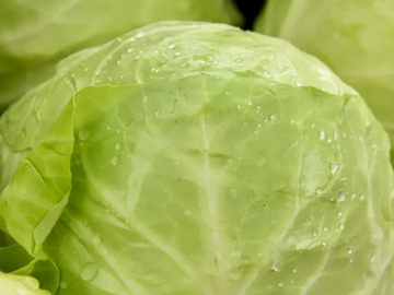 Sorta kupusa koja nije za kiseljenje