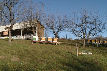 Majevica ima više od 4.000 pčelinjih društava i zaštićen med:  Trud i rad daju rezultate (FOTO)