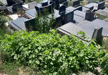 Šokantan slučaj u Srpskoj: Prekopavao i pomjerao grobove bez odobrenja članova porodice umrlih