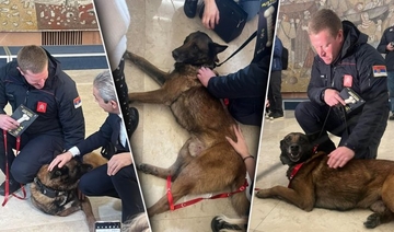 Zasluženi odmor: Srpski pas Zigi ide u penziju, odradio je dobar posao sa spasiocima u Turskoj