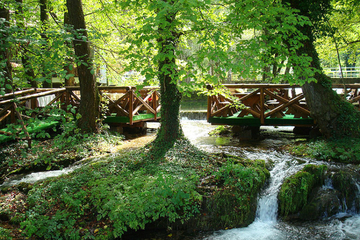 Najkraća rijeka na svijetu se nalazi u Srbiji? Evo zašto je zovu Godina