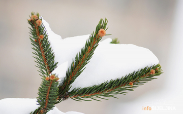 Pretežno sunčano, ali I dalje hladno