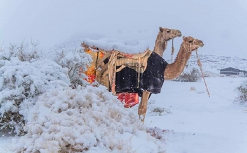 Pao snijeg u Saudijskoj Arabiji nakon 50 godina