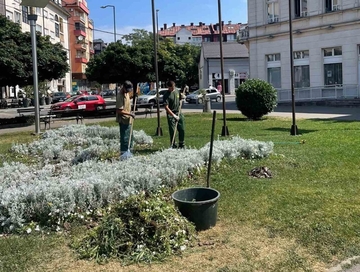 Bijeljina: Cvjetne površine na trgu dobijaju novi izgled, radnici zasukali rukave