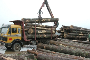 Slijede smjene u šumskim gazdinstvima u Srpskoj koja su negativno poslovala