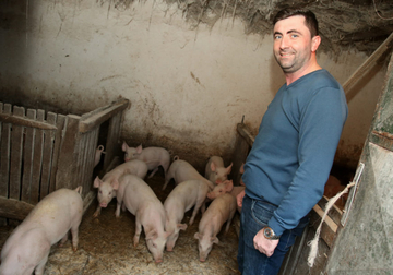 Ljubiša Petrović: Poslali smo hitne dopise