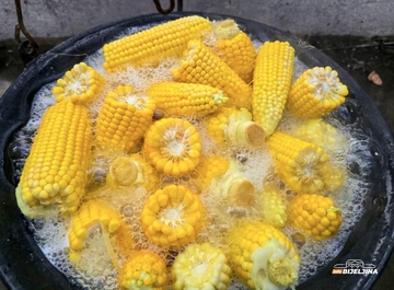 Trikovi za sočan kukuruz: Koliko DUGO GA KUVATI i na šta obratiti pažnju