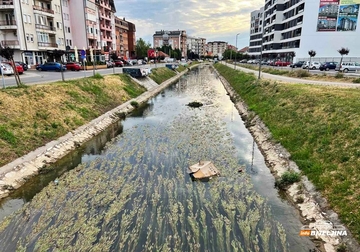 Bijeljina: Dašnici opao nivo vode, građani ogorčeni zbog smeća (FOTO)