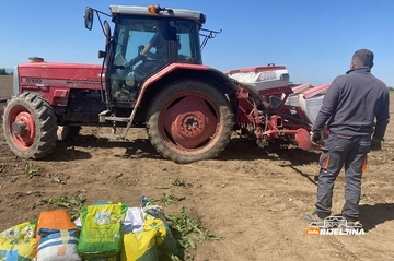 Makroogledi na semberskim njivama otkrivaju: Koji hibrid kukuruza daje najbolji prinos?