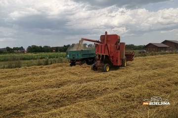"Nema svrhe za 36 feninga proizvoditi pšenicu, a kupovati hljeb za dvije marke"