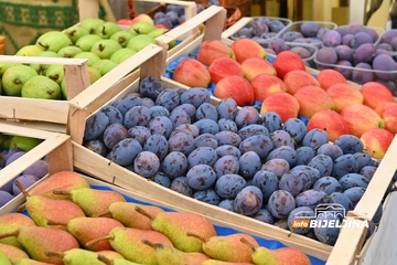Najgora godina za voćare u Srpskoj: Šljive jedva dovoljne za rakiju