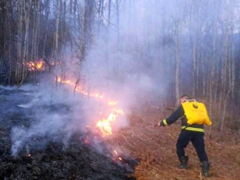 Požar prijetio kućama u Milićima