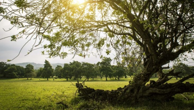 Danas sunčano i toplo