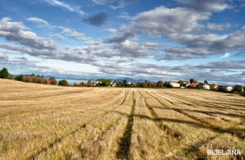 BiH kupuje žitarice iz Indije, Pakistana i Perua