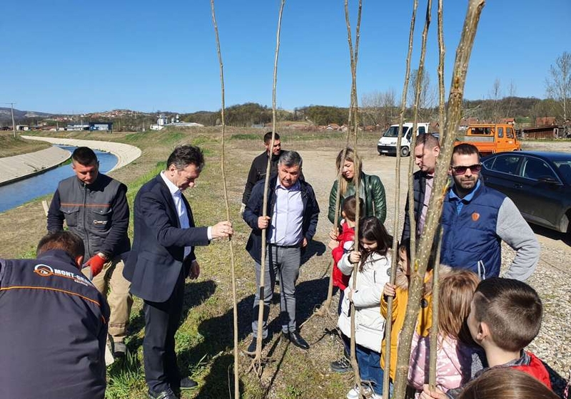 Uz podršku opštine Ugljevik zasađeno 80 sadnica topole (FOTO)