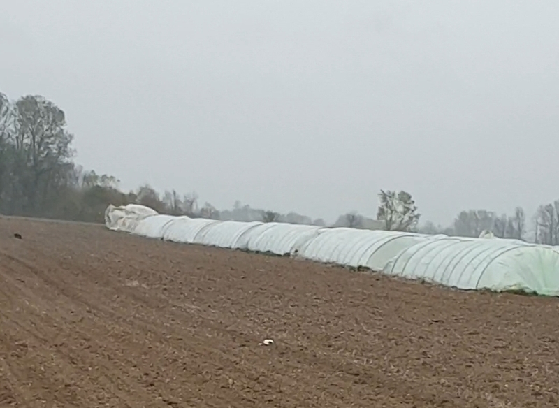Olujno nevrijeme pogodilo sela u Semberiji (FOTO)