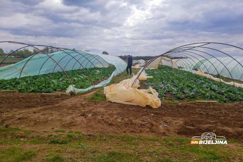 Semberski povrtari U TEŠKOM POLOŽAJU, mnogi u dilemi - smanjiti površine ili promijeniti kulture
