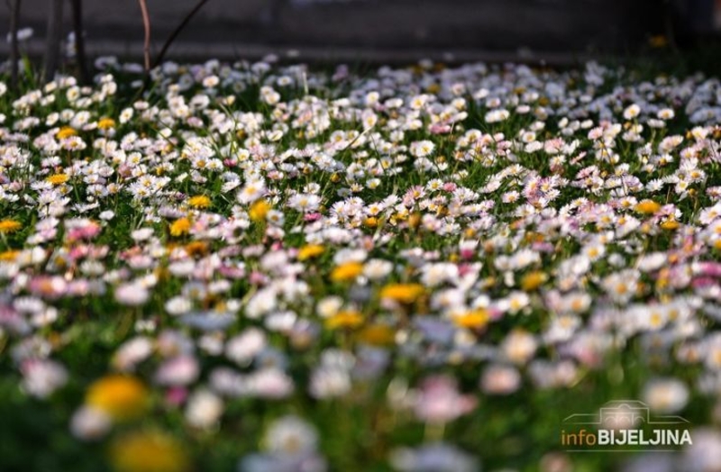 Danas sunčano i toplije, po podne moguća kiša