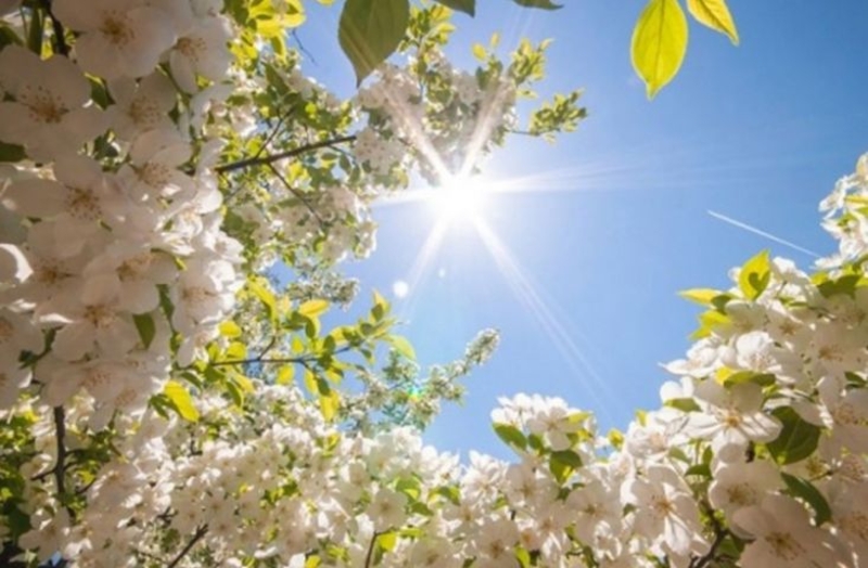 Pogledajte kakvo nas vrijeme očekuje narednih dana, evo kada će biti 30 stepeni
