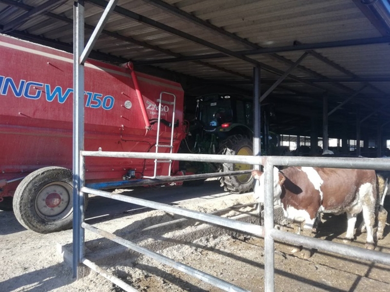 POSKUPLJENJA UGROŽAVAJU PROIZVODNJU MLIJEKA Neophodno povećati otkupnu cijenu i premije (FOTO)