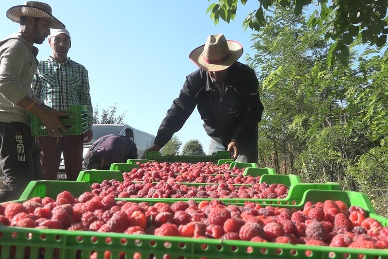 Olakšice pri zapošljavanju stranaca u Srpskoj: Radna dozvola za 15 dana
